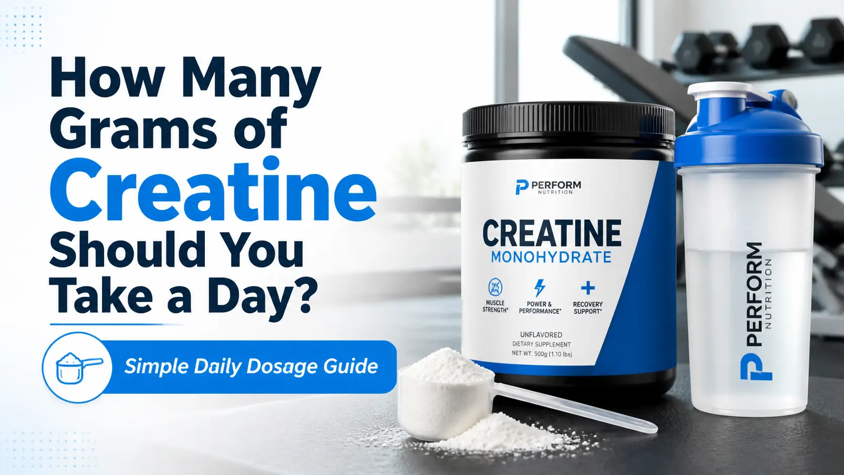 Creatine Dosage Guide